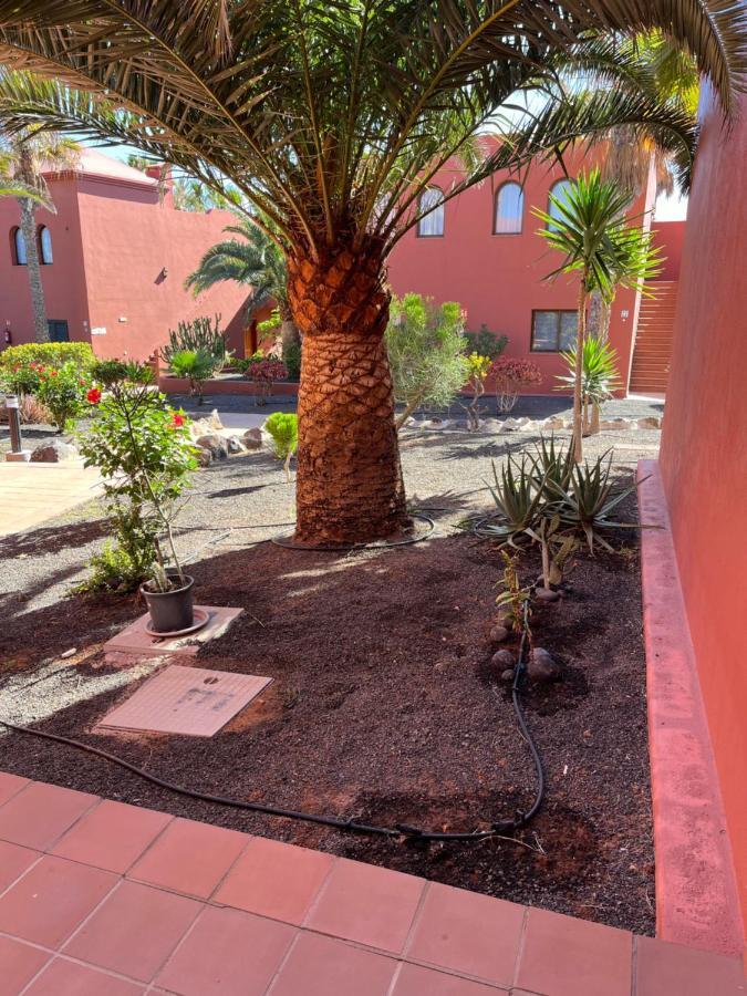 Casa Mimi Oasis Tamarindo Apartment Corralejo Exterior photo